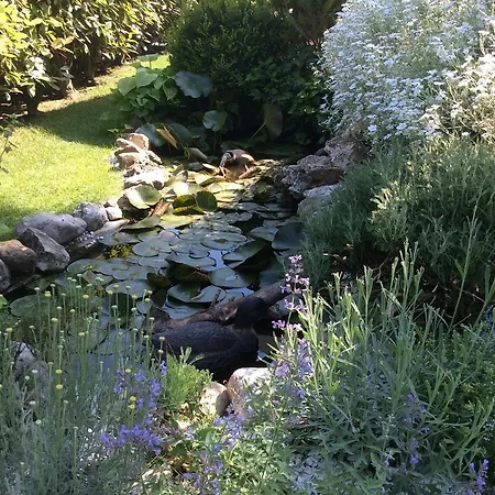 San Valerio * Occimiano