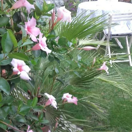 San Valerio Отель типа 