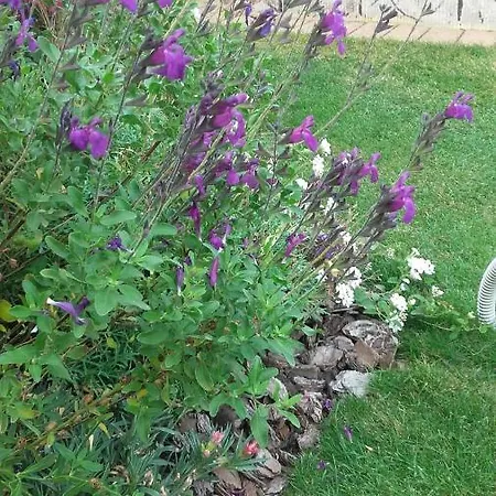 San Valerio Occimiano