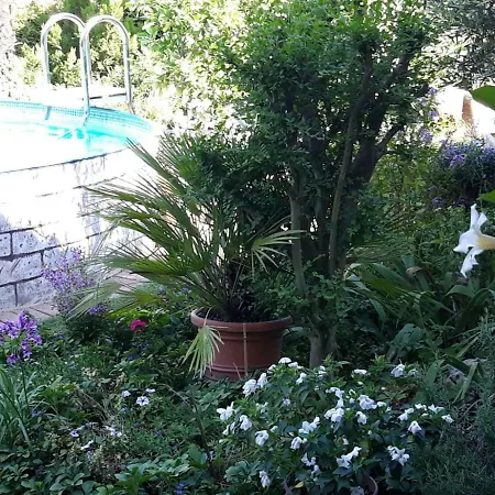 San Valerio Panzió Occimiano