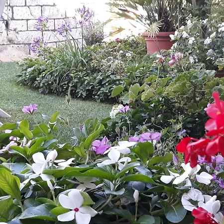 Bed & Breakfast San Valerio *